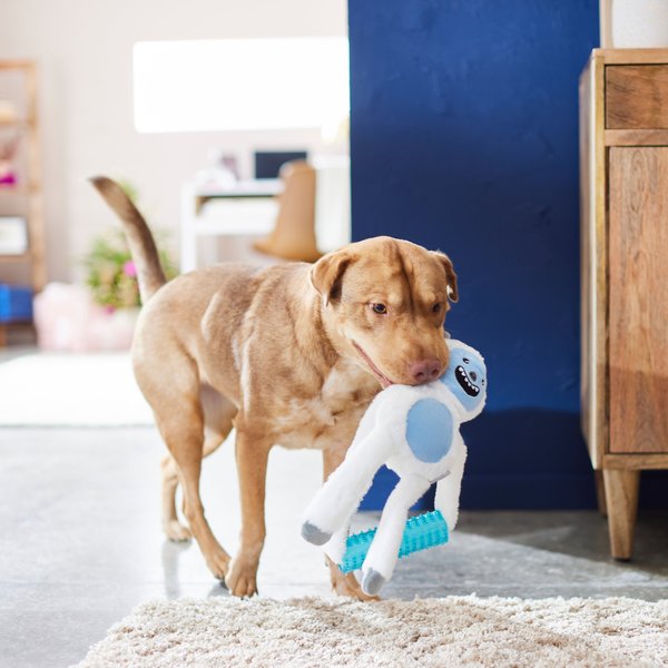Frisco Plush & TPR Squeaky UFO Dog Toy