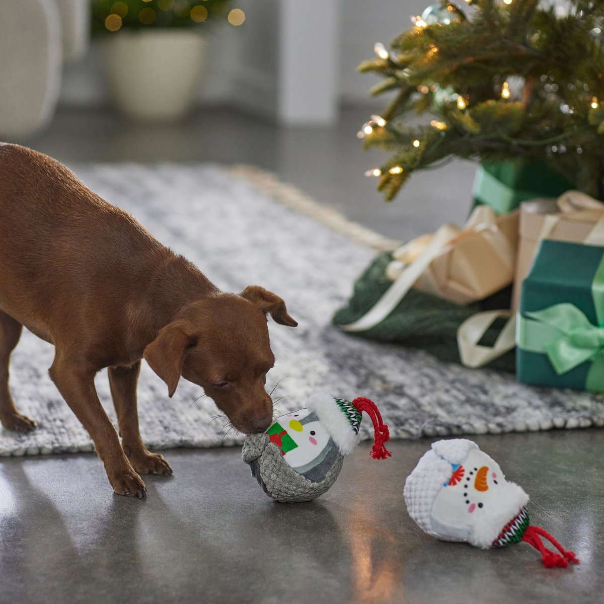 Frisco Holiday Penguin & Snowman Plush Squeaky Dog Toy