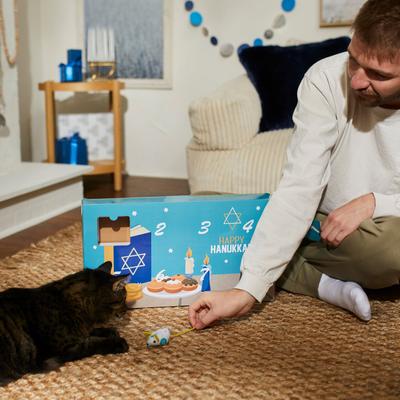 Show full view: Frisco Holiday 8 Days of Hanukkah Cardboard Calendar with Toys for Cats slide 4 of 7