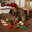 Show in main carousel: Frisco Holiday Festive Red Variety Pack Gift Box Cat Toy with Catnip, 14 count slide 4 of 7