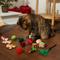 Show in main carousel: Frisco Holiday Festive Red Variety Pack Gift Box Cat Toy with Catnip, 14 count slide 4 of 7
