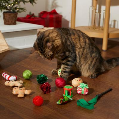 Show full view: Frisco Holiday Festive Red Variety Pack Gift Box Cat Toy with Catnip, 14 count slide 4 of 7