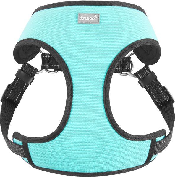 Frisco Padded Step-In Harness, Turquoise, Small slide 1 of 6