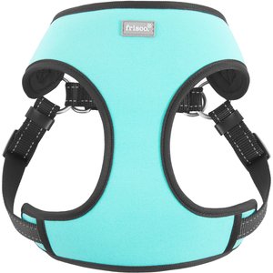 Frisco Padded Step-In Harness, Turquoise, Medium
