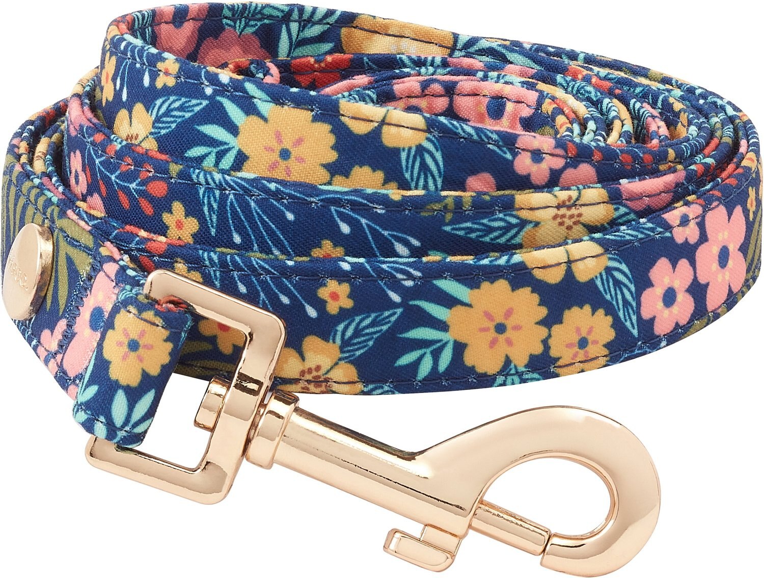 Frisco Fashion Dog Leash, Snow-capped Mountains