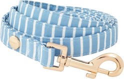 Frisco Fashion Leash, Striped, MD - Length: 6-ft, Width: 3/4-in slide 1 of 4