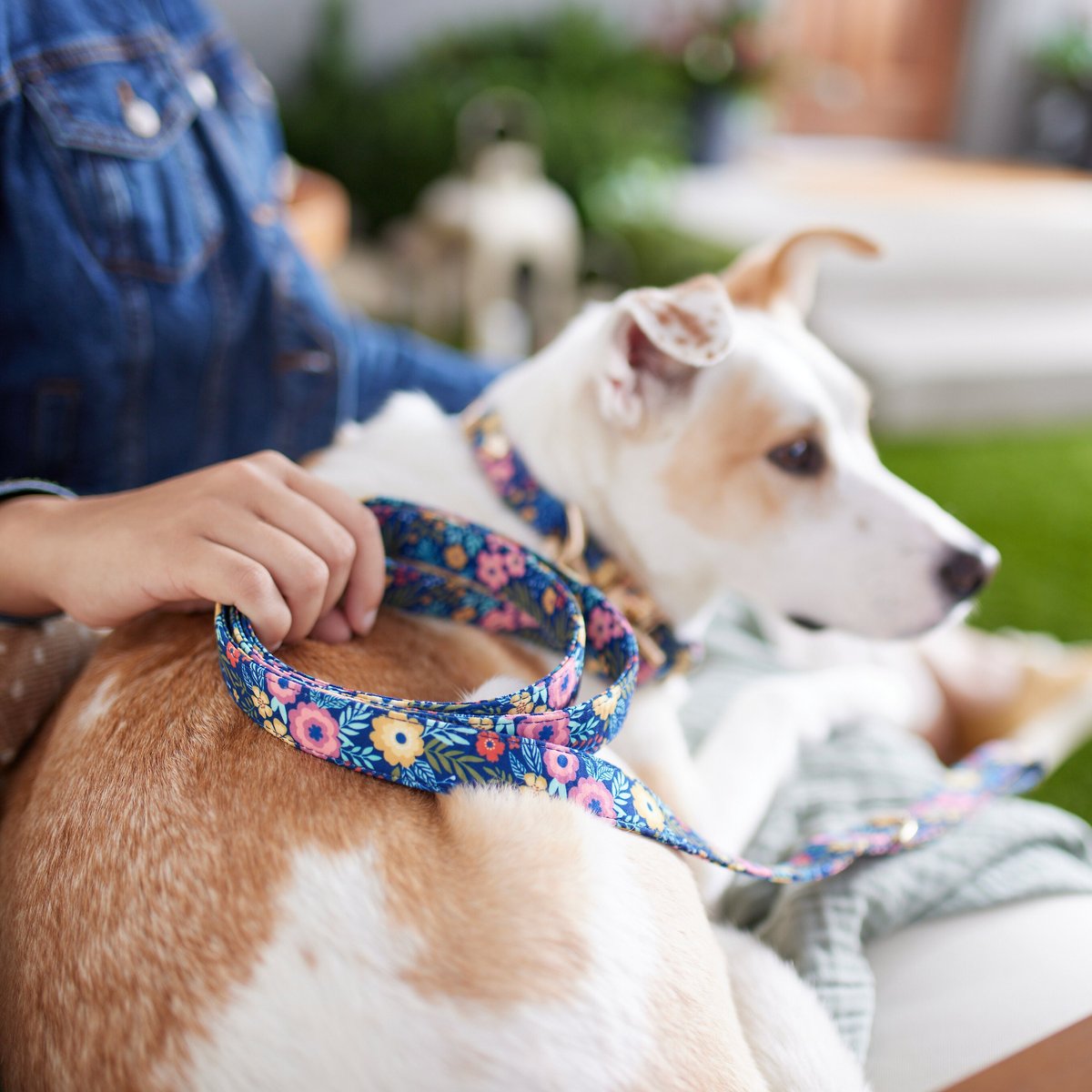 Frisco Fashion Dog Leash, Tribal Boho