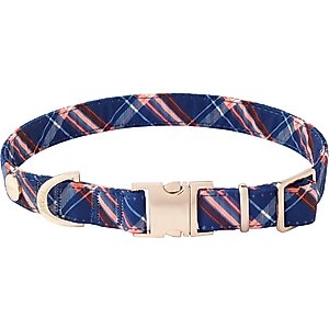 Frisco Fashion Collar, Blue Plaid, SM - Neck: 10-14-in, Width: 5/8-in