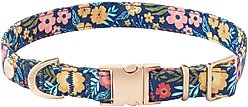 Frisco Fashion Collar, SM - Neck: 10-14-in, Width: 5/8-in, Tropical Floral