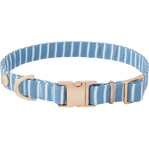 Frisco Fashion Collar, Striped