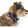 Frisco Fashion Bow, Brown Plaid, X-Small/Small