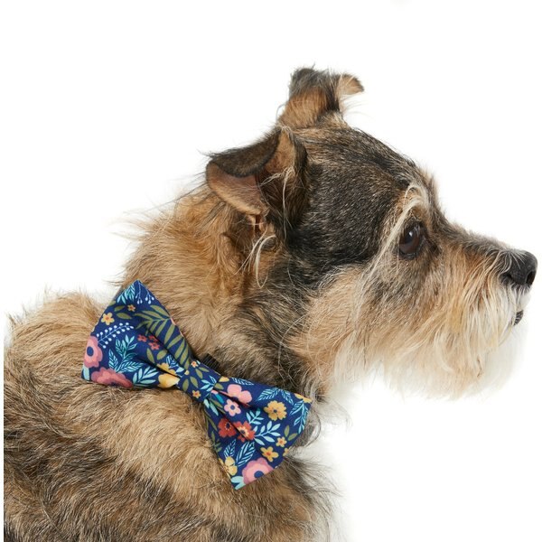 Frisco Fashion Bow, Blue Plaid, XS/SM