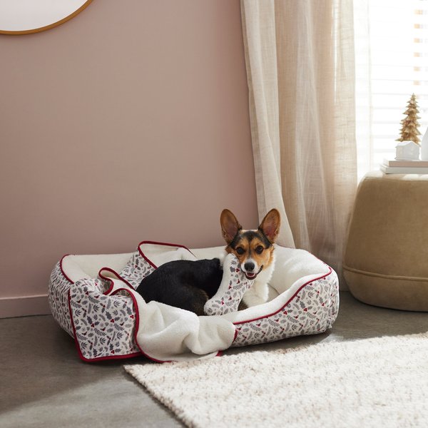 Frisco Holiberry Dog & Cat Bed & Gift Set, Large slide 1 of 5