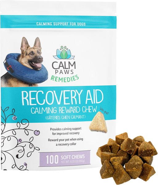 Calm Paws Remedies Recovery Aid Calming Soft Chew Dog Supplement, 100 count slide 1 of 4