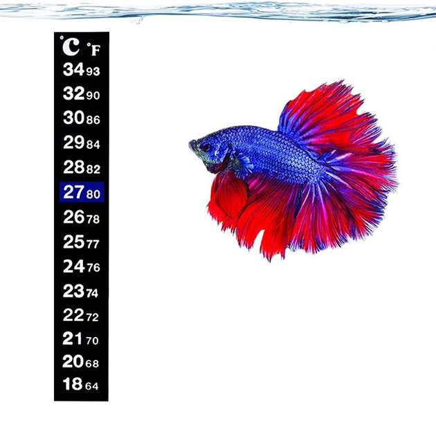 Fish Thermometer – Little Red Hen