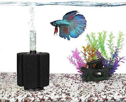 Show full view: SunGrow Betta Fish & Turtle Sponge Small Aquarium Tank Water System Filter, up to 10-gal slide 2 of 7