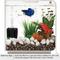 Show in main carousel: SunGrow Betta Fish & Turtle Sponge Small Aquarium Tank Water System Filter, up to 10-gal slide 4 of 7