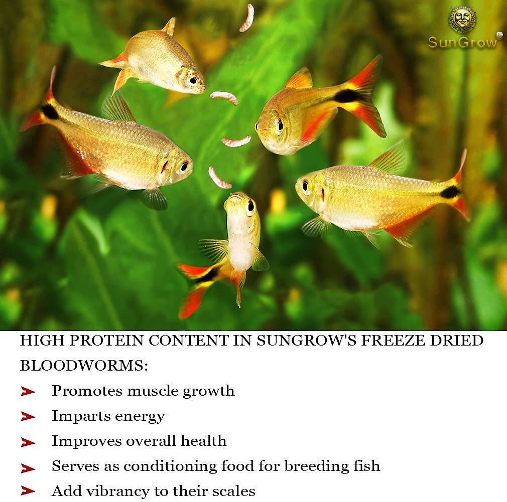 SUNGROW Bloodworms FreezeDried Betta Fish Food, 0.52oz jar