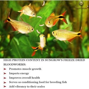 SunGrow Bloodworms Freeze-Dried Betta Fish Food, 0.52-oz jar