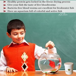 SunGrow Bloodworms Freeze-Dried Betta Fish Food, 0.52-oz jar