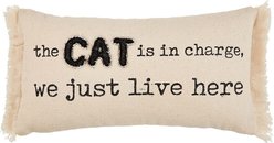 Mud Pie "Charge Canvas" Pillow