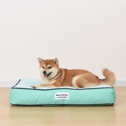 Jonathan Adler Now House Cushion Dog Bed, Teal Chevron, Small
