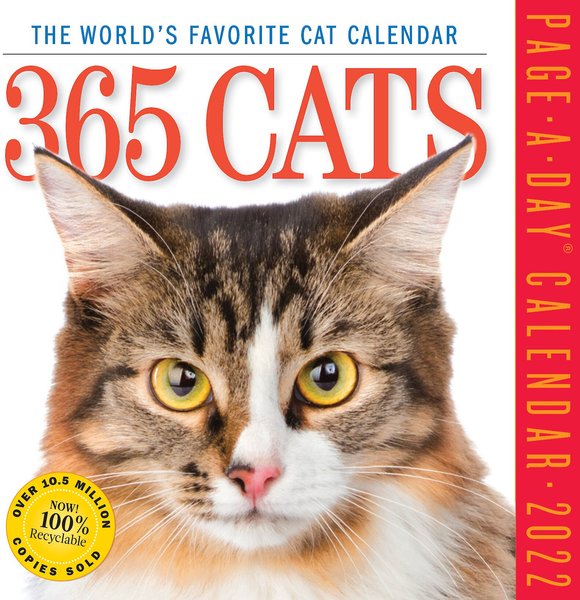 Discontinued - 365 Cats 2022 Page-A-Day Calendar - Chewy.com