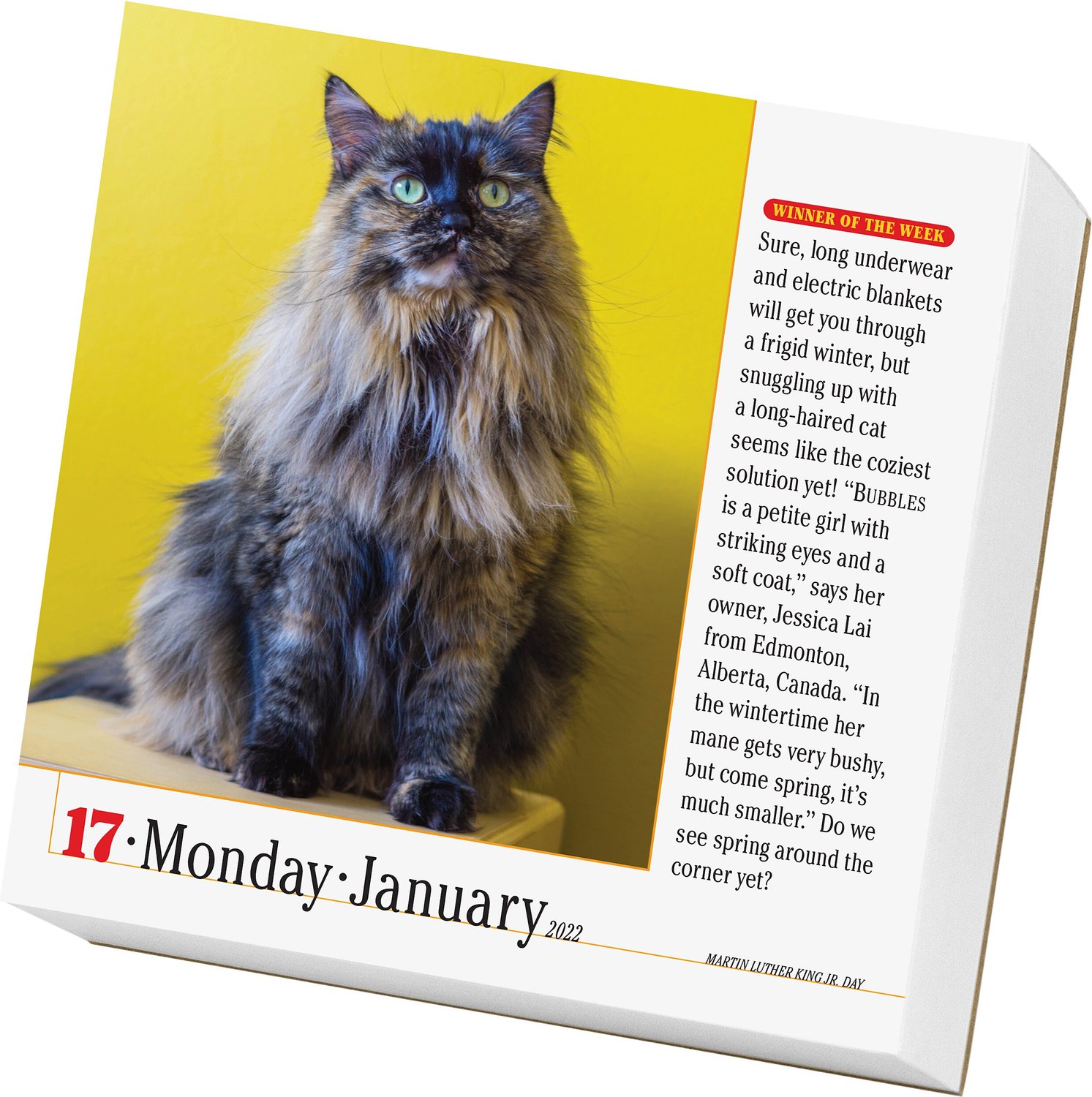 Cats 2022 Day-To-Day Calendar 