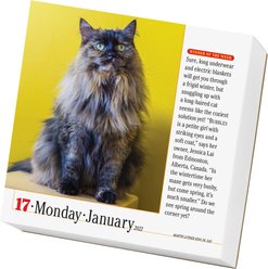 365 Cats 2022 Page-A-Day Calendar slide 2 of 6