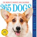365 Dogs 2022 Page-A-Day Calendar