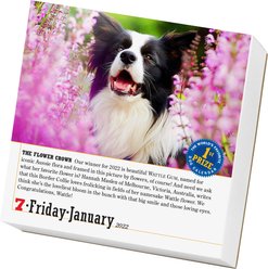 365 Dogs 2022 Page-A-Day Calendar slide 2 of 6