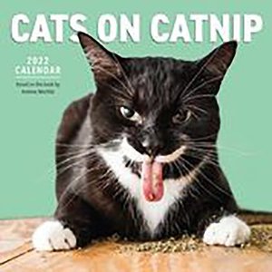 Cats on Catnip 2022 Wall Calendar