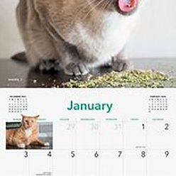 Cats on Catnip 2022 Wall Calendar slide 2 of 5