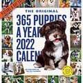 365 Puppies a Year 2022 Wall Calendar