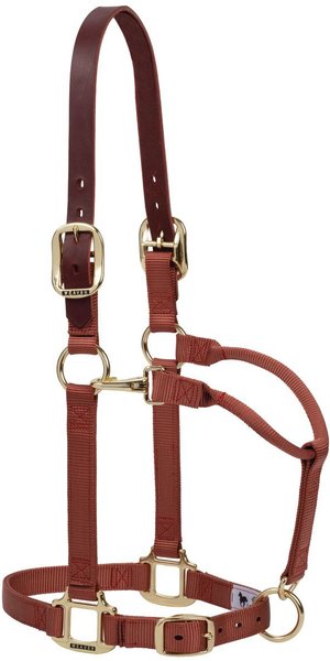 thumbnail image 2 of Weaver Leather® Breakaway Original Adjustable Chin & Throat Snap Halter | Dover Saddlery 2 of 11