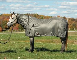 Weaver Equine Mesh Horse Fly Sheet, Gray, 82-in