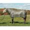 Show in main carousel: Weaver Equine Mesh Horse Fly Sheet, Gray, 82-in slide 1 of 1