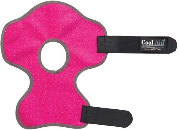 Weaver Leather CoolAid Equine Icing & Cooling Hock Horse Wraps, Pink, Small slide 1 of 1