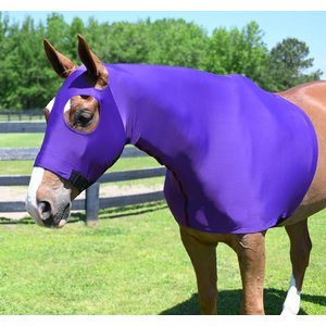 Gatsby StretchX Full Separating Zipper Slicker Horse Hood, Purple, X-Large