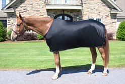 Gatsby StretchX Full Horse Sheet, Black, Small