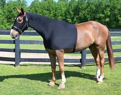 Gatsby StretchX Pull On Slicker Horse Hood, Black, Small