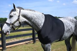Gatsby StretchX Horse Shoulder Guard, Small