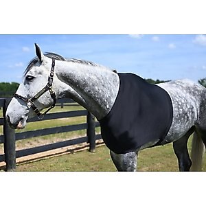 Gatsby StretchX Horse Shoulder Guard, Small