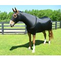 Gatsby StretchX Full Body Slicker Horse Sheet, Black, Small