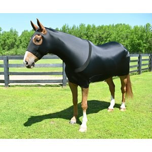 Gatsby StretchX Full Body Slicker Horse Sheet, Black, Large