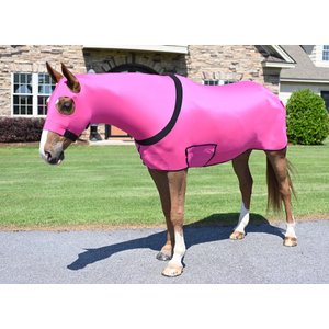 Gatsby StretchX Full Body Slicker Horse Sheet, Hot Pink, Small