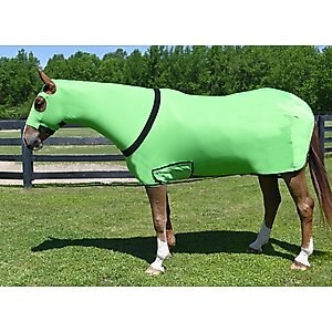 Gatsby StretchX Full Body Slicker Horse Sheet, Lime Green, Large