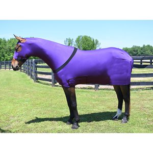 Gatsby StretchX Full Body Slicker Horse Sheet, Purple, Small