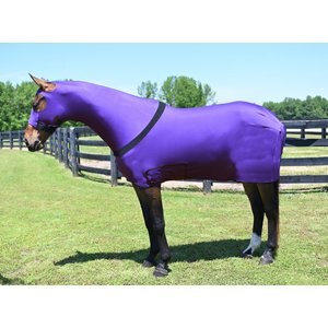 Gatsby StretchX Full Body Slicker Horse Sheet, Purple, Medium