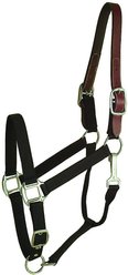 Gatsby Classic Nylon Breakaway Horse Halter & Snap, Black, Cob